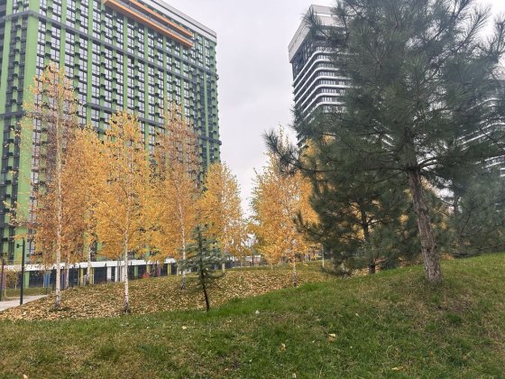 Є оселля! Є відновлення! Продаж квартири в ЖК Great Грейт Осокорки