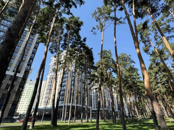 Паркомісця від забудовника в ЖК Центральний-2 Ірпінь