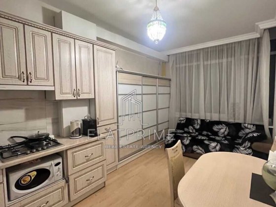 Академіка Єфремова, 8А, індивідуальне газ. опалення. Метро Академ 1 хв Київ