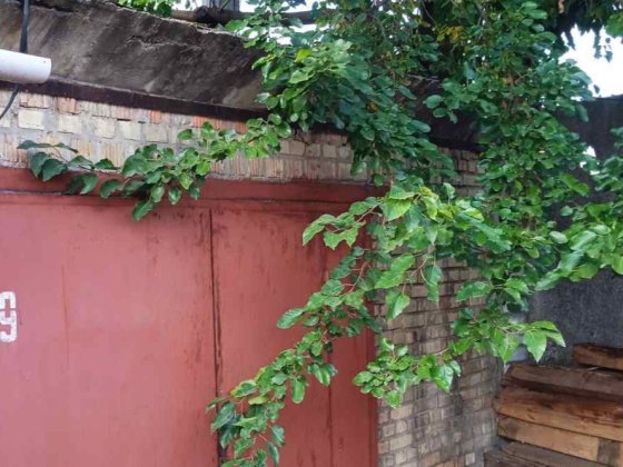 Гараж, ГК "Супутник" Киев