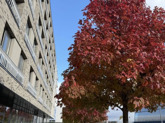 Пентхаус ЖК Рибальський 4 кімнати вид на поділ