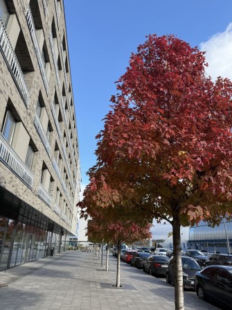 Пентхаус ЖК Рибальський 4 кімнати вид на поділ - фото 1