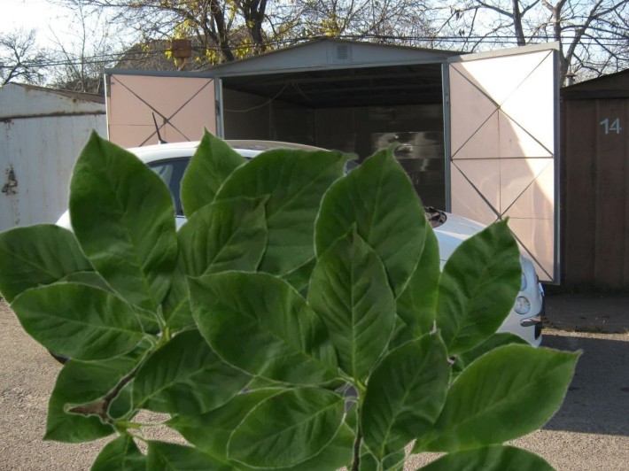 Продам гараж кооператив - фото 1