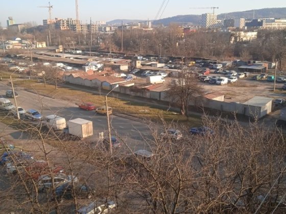 Сухоребрик 2025 рік Львов