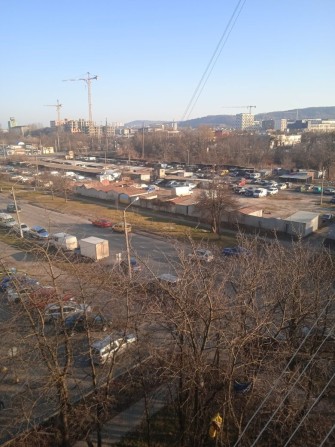 Сухоребрик 2025 рік - фото 1