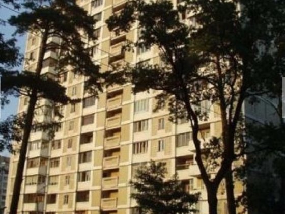 Продаж квартири  Без комісії!! 4 кімнати Ореста Васкула ( Пушиної ) Київ