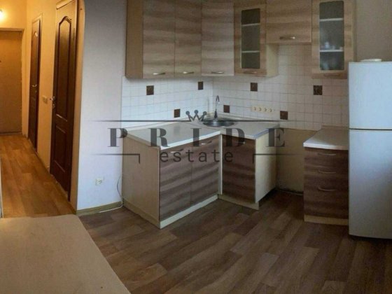 Простора 1-к квартира Новобіличі Киев