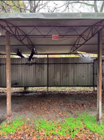 Паркомісце. 4ст Люстдорфської дороги - фото 1