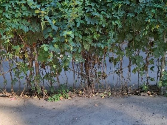 Продаётся место на стоянке Жолио Кюри угол Бувалкина ( Бочарова) Корсунцы