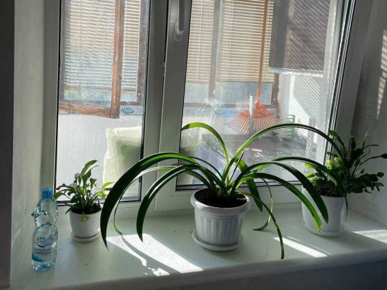 Продаж 4к квартири 84 кв. м на вул. Вітряні Гори, 17 МОЖЛИВО ПІД ОФІС Київ