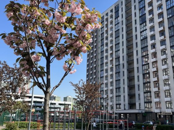 ЖК Місто Квітів! 1к з частковим ремонтом! Державні програми - так! Киев