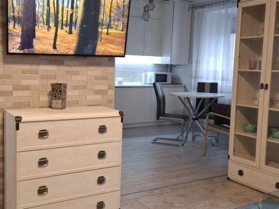 Здається квартира-студія на довгострокову оренду. Владимир