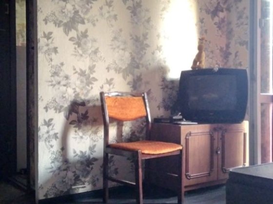 Долгосрочная аренда. Каменское Каменское