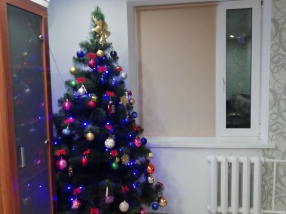 Двух комнатная квартира Павлоград