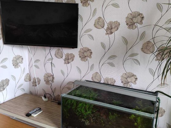 Здається 2-х кімнатна квартира