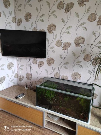 Здається 2-х кімнатна квартира - фото 1