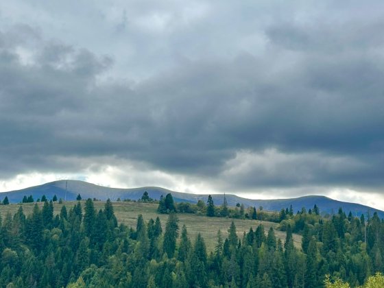 Земельна ділянка в селі Ізки Пилипец