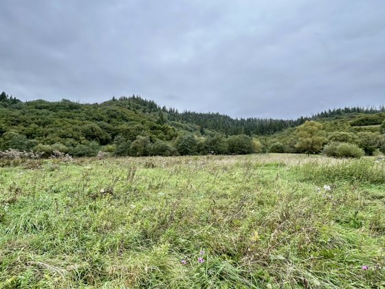 Земельна ділянка в сері Річка Закарпатської області Пилипец