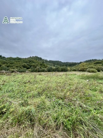 Земельна ділянка в сері Річка Закарпатської області - фото 1