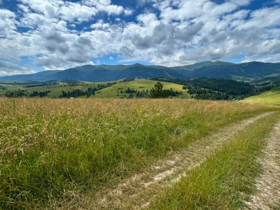 Земельна ділянка в гірськолижному курорті Пилипець Пилипец