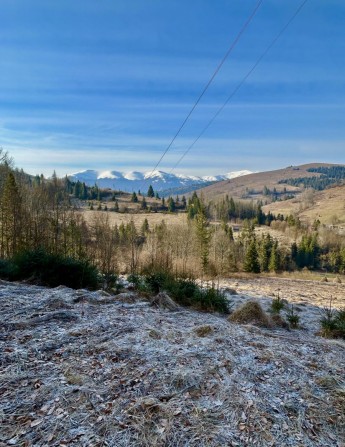 Земельна ділянка в селі Нижній Студенний Закарпатської області - фото 1
