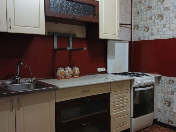 Оренда 1 кімн.  Занасип 3 Кременчуг