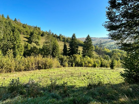 Земельна ділянка в селі Студений Закарпатської області Пилипець