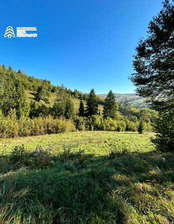 Земельна ділянка в селі Студений Закарпатської області - фото 1