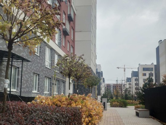 Ірпінь, ЖК Олімп,( р-н водоканалу) 1.-а кв.-а, 15000 грн