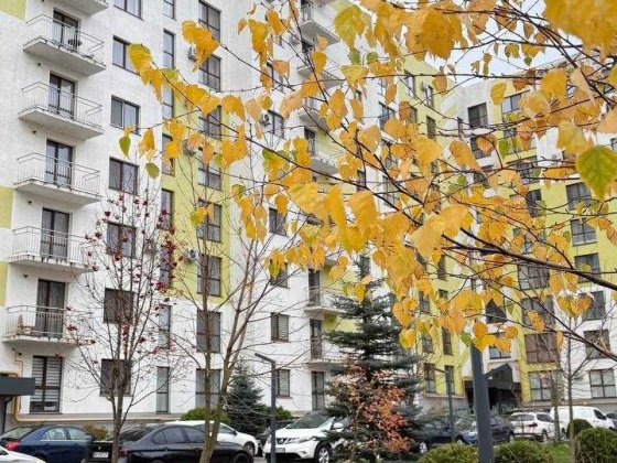 Здам в оренду 1 кімн  квартиру на Щасливому Ровно