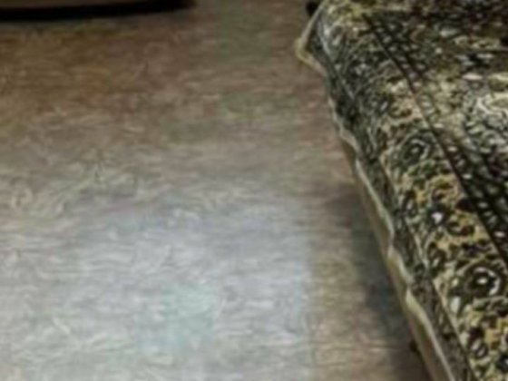 Здається житло на Горького. В ціну входять платежі. Суми