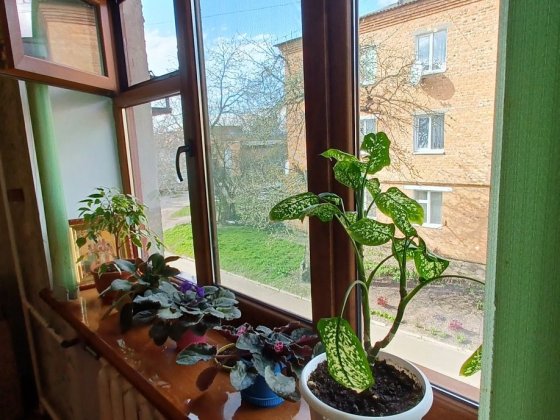 Продам кімнатну в гуртожитку 17.5м² Белая Церковь