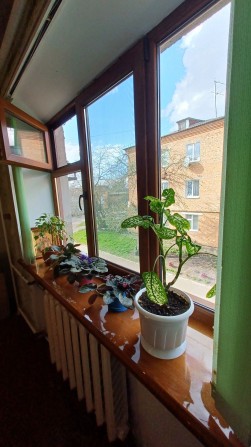 Продам кімнатну в гуртожитку 17.5м² - фото 1