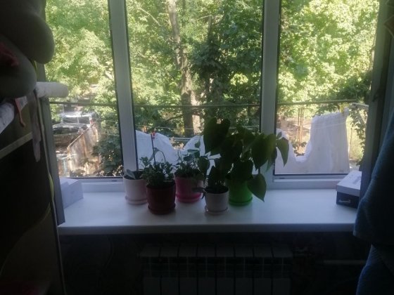 Терміново!!!кімната на Сімферопольській Киев