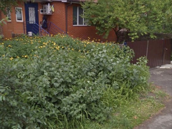 Здам квартиру в центрі зі своїм двором Сумы