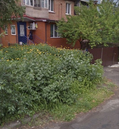 Здам квартиру в центрі зі своїм двором - фото 1