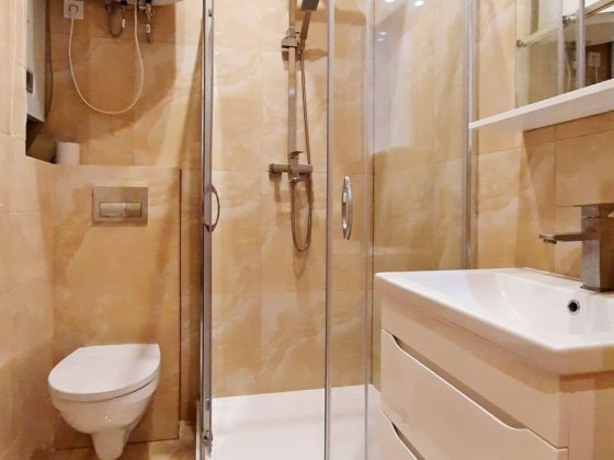 Власник. Перша сдача. Київ