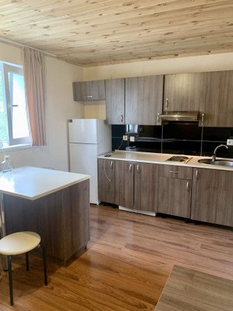 Здам 1 кімнатну квартиру у районі вулиці Бердичівської з автономкою - фото 1