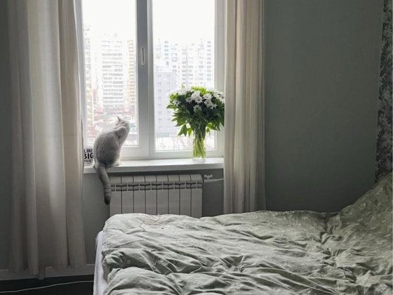 Довгостроково сдам квартиру метро Харківська Киев