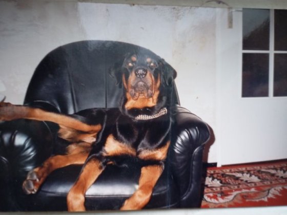 Трешку свою сдаю 9/9 Київ