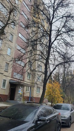 Сдам 1 квартиру  Тополь 3 - фото 1