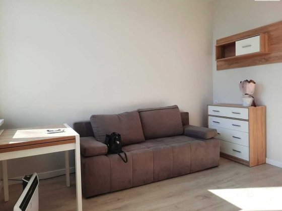 Здається затишна квартира біля Шевченківського Гаю Львов