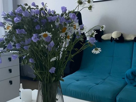 Квартира 2к. з автономним опаленням (Перемога, вул. Новорічна)