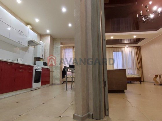 Аренда 1к кв ЖК Жуковский ,Нагорный, Центр, Гагарина