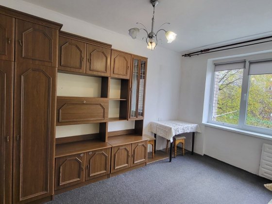 Здається в оренду 1к квартира В Великого! Львів