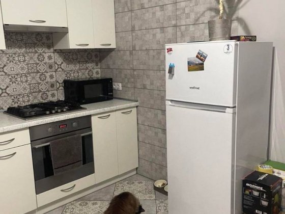 Оренда 1 кім. квартири, ЖК Пасічний, вул. ПАСІЧНА Львів