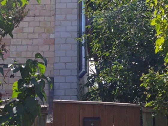 Сдам будинок Боярка Боярка