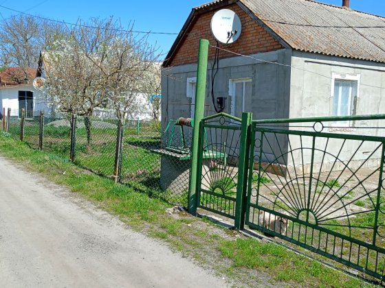 Здам або продам дом в селі Козятин Козятин