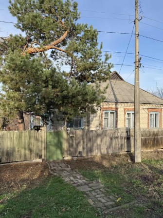 Сдается дом Беленькая - фото 1