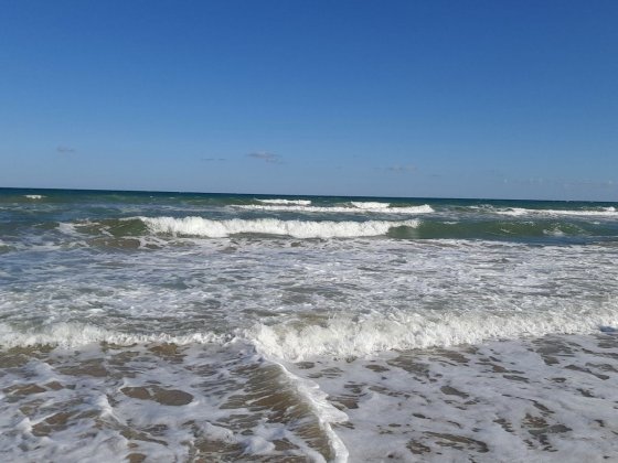 Здам квартиру на березi моря в Одесi Вул Дача Ковалевського Одесса